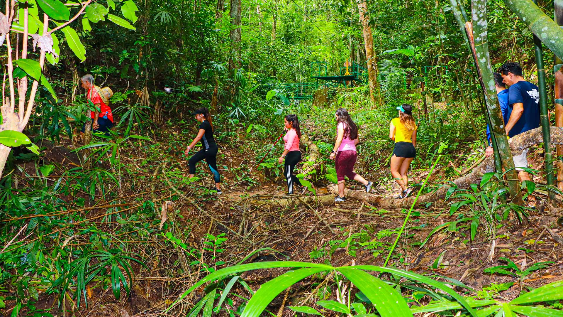 Hiking - Los Veranos Canopy and Adventure Park