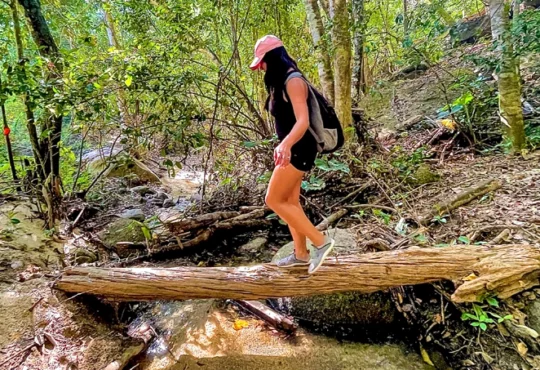 Hiking from Garden Botanical Vallarta
