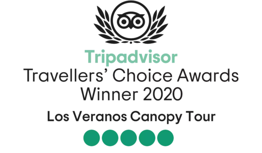 Travellers Choice Awards Winner 2020