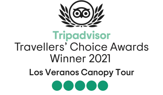 Travellers Choice Awards Winner 2021