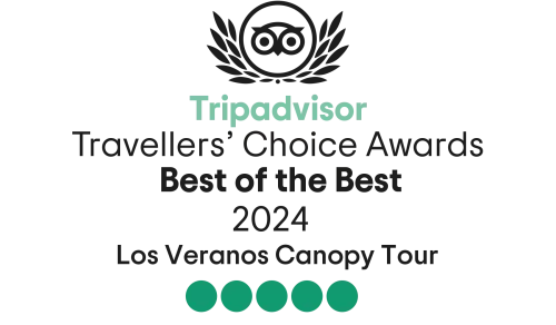 TripAdvisor_2024_Best