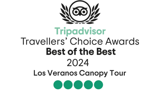 TripAdvisor_2024_Best