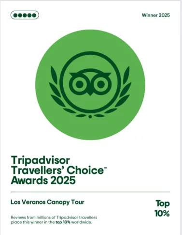 ripadvisor Travellers Choice Awards Winner 2025