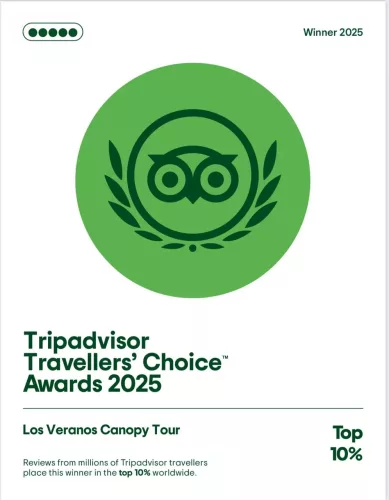 ripadvisor Travellers Choice Awards Winner 2025