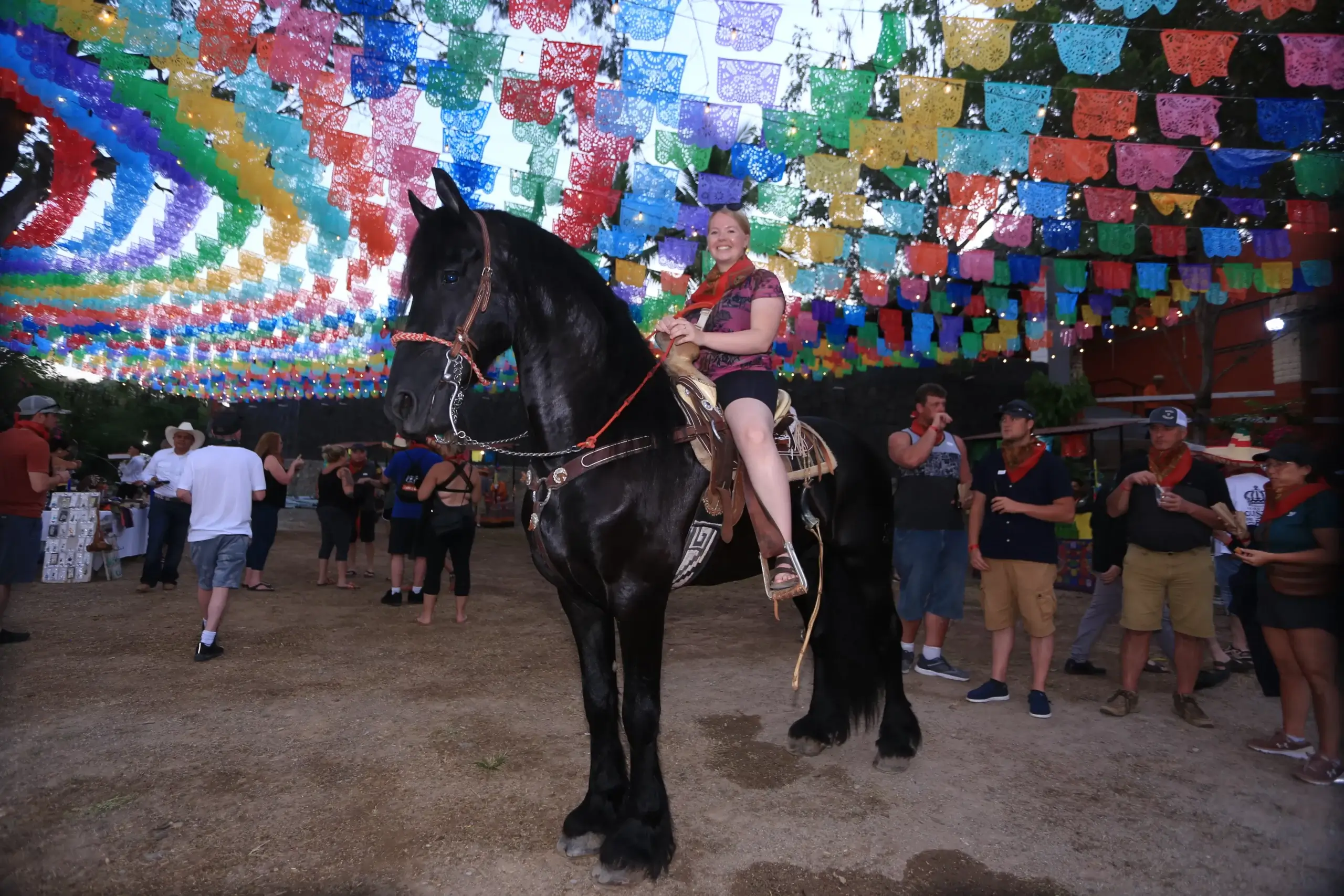Horse We Love Mexico