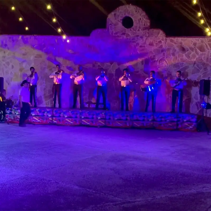 Mariachi We Love Mexico